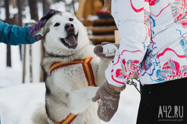Синоптики: весна в Кузбассе начнётся с морозов до -39