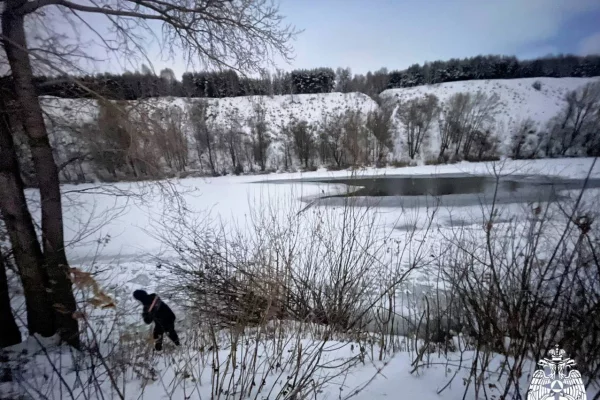 В Новосибирской области 2 мальчика провалились под лёд