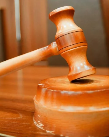 В Москве суд заочно арестовал Тамару Эйдельман*