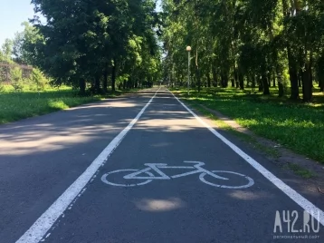 Фото: Кузбассовцы просят власти оборудовать велодорожки по всему региону 1