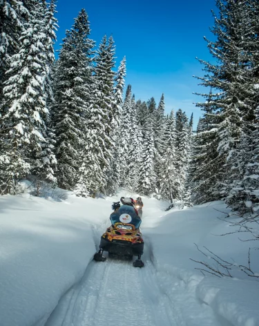 В Кузбассе за месяц пропали 20 детей
