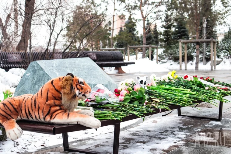 Фото: 7 лет после: кузбассовцы вспоминают трагедию в «Зимней вишне» 12