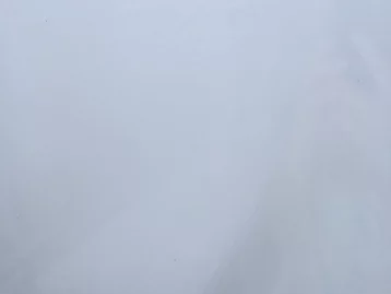 Фото: Кузбассовцы пожаловались на густой туман 2