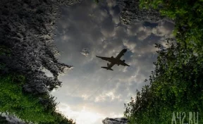 Экстренно севший в поле под Новосибирском самолёт вернётся к полётам