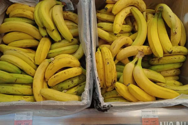 В России запретили продажу бананов короче 14 сантиметров