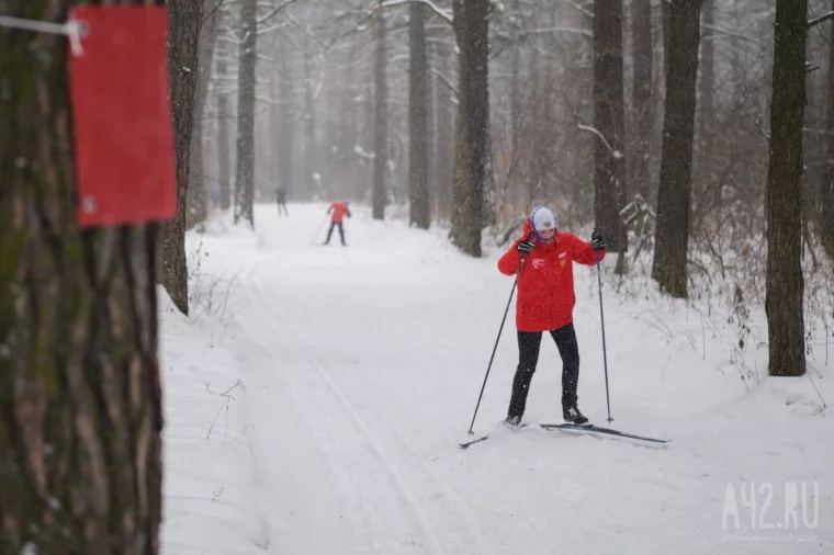 Фото: Почему лыжники уходят из Рудничного бора 10