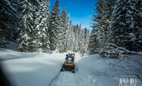 В Кузбассе за месяц пропали 20 детей