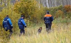 Пропавшего в Белове 75-летнего мужчину нашли погибшим