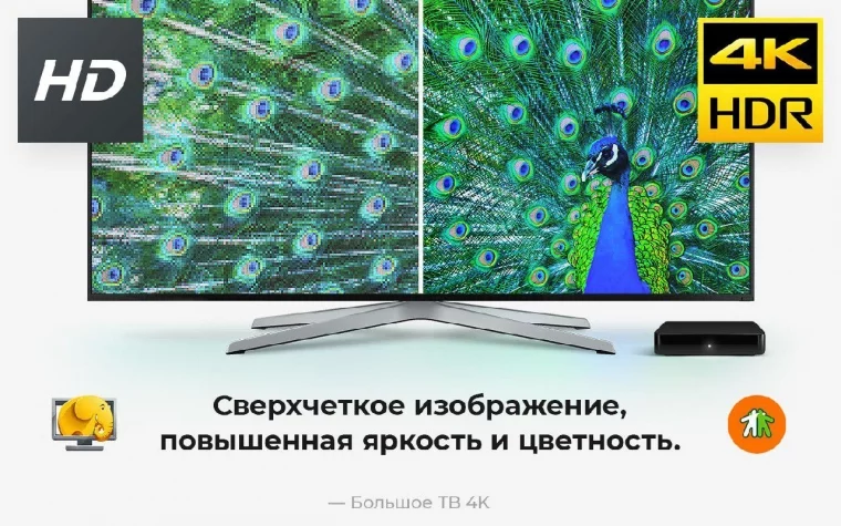 Фото: «Большое ТВ 4K»: новый стандарт телевидения в Кузбассе 2