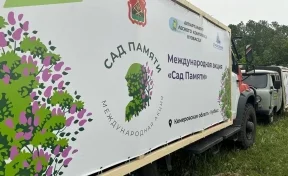 В Кузбассе высадили 1 миллион деревьев в рамках акции «Сад Памяти»