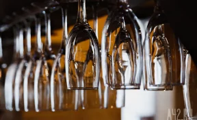 Кемеровский бар навсегда запретил вход певице Ларисе Долиной