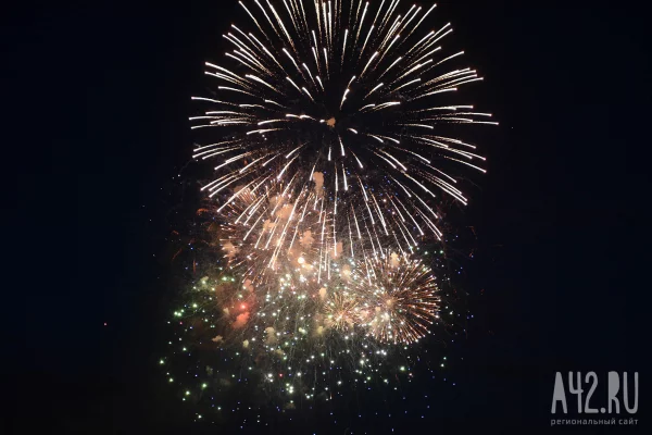 Подольская рассказала, сколько профессиональных праздников утверждено в России