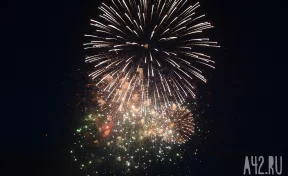 Подольская рассказала, сколько профессиональных праздников утверждено в России