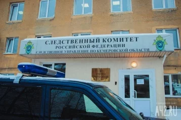 Фото: Бастрыкин потребовал доклад об избиении подростками мужчины в Кемерове 1