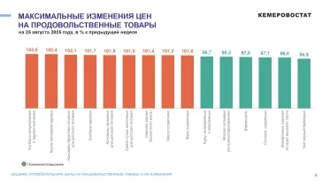 Фото: В Кузбассе цены на огурцы за неделю взлетели на 6,9% 2