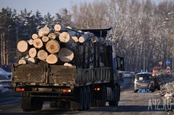 Фото: Из Кузбасса в Китай за полгода вывезли почти 50 тысяч кубометров леса 1