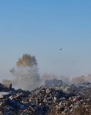 Фото, видео: <a href=https://vk.ru/wall1112311090_1466>Василий Мельник</a> / «ВКонтакте»