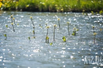 Фото: Воду в двух зонах отдыха в Кемеровском районе признали опасной 1