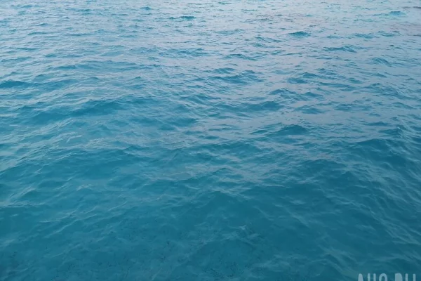 Беспилотники атаковали танкер со 140 000 тонн нефти у берегов Турции