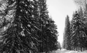 Нилов: зима в 2026 году дарит работающим россиянам приятный сюрприз