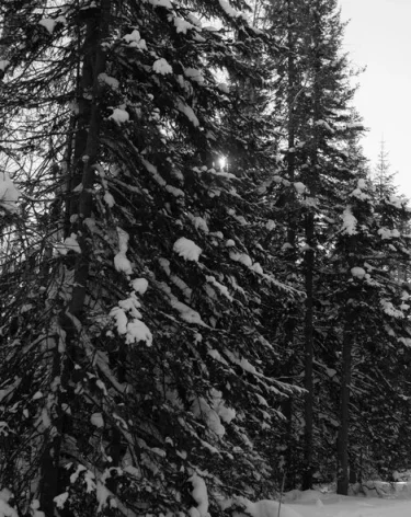 Нилов: зима в 2026 году дарит работающим россиянам приятный сюрприз