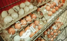 Кемеровостат: цены на яйца и помидоры резко выросли за месяц в Кузбассе