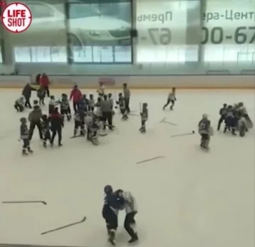 Фото: В Тольятти 11-летние хоккеисты устроили массовую драку  1