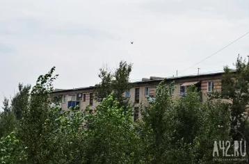 Фото: В МЧС предупредили кузбассовцев о надвигающихся грозах и сильном ветре 1