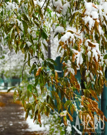 Осия Колесник: народные приметы на 30 октября