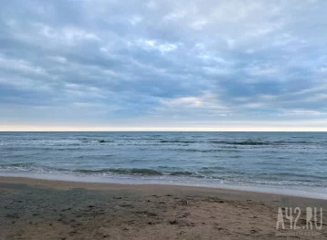 Фото: В Анапе во время очистки дна от мазута погиб водолаз 1