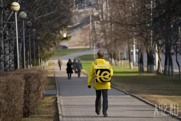 Эксперты назвали средний заработок курьеров в Москве за сутки 
