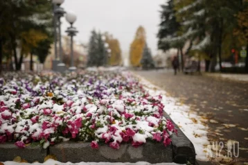Фото: В Кемерове в ночь на 29 сентября выпал первый снег 1