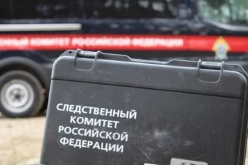 Фото: В СК прокомментировали убийство 14-летней девочки в Ульяновской области 1