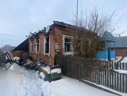 В Московской области при пожаре заживо сгорела женщина с сыном и внуком 