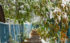 Осия Колесник: народные приметы на 30 октября