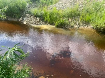 Фото: Прокуратура проверит сообщения о загрязнении золотодобытчиками рек в Тисульском районе 1