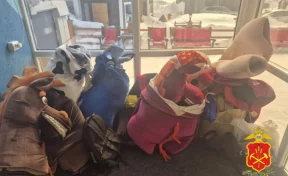 В Шерегеше аниматоры в костюмах лошадей работали с многочисленными нарушениями