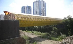Власти Кемерова ответили на вопрос о сроках открытия «хрустального» моста