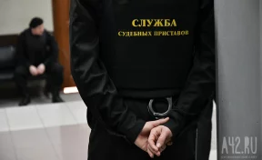 В Кузбассе водителя, катавшего пристава на капоте, отправили в колонию на 12 лет