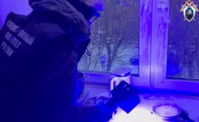 Дверь вскрыли после жалоб соседей: в красноярской квартире обнаружили тела женщины и её ребёнка