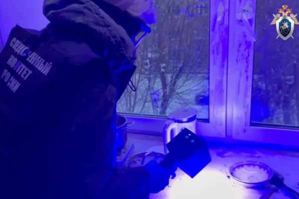 Дверь вскрыли после жалоб соседей: в красноярской квартире обнаружили тела женщины и её ребёнка