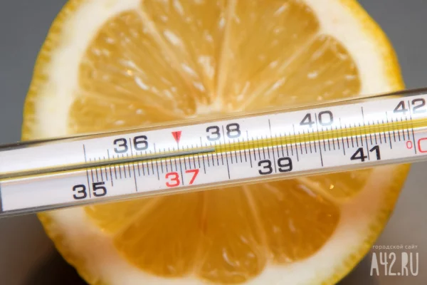 Врач-нутрициолог назвал 5 витаминов, необходимых для укрепления здоровья зимой