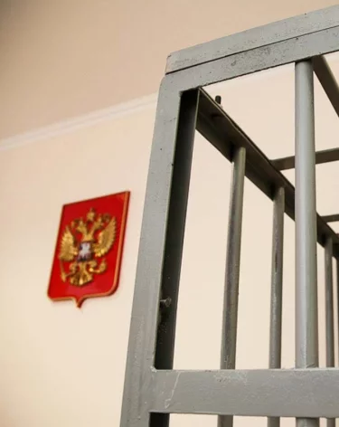 Доцента московской консерватории арестовали за приставания к ребёнку