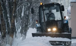 В Ленобласти водитель снегоуборочной техники сбросил кучу снега из ковша на ребёнка