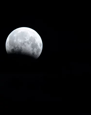 Силы ПВО за ночь сбили более 130 беспилотников над 11 российскими регионами