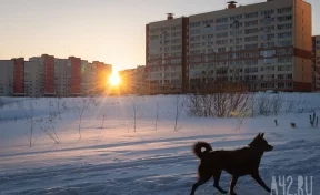 В Кузбассе на выходных 15 января потеплеет до -1