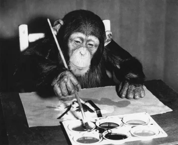 Фото: В Лондоне пройдёт выставка-продажа картин шимпанзе Конго 1