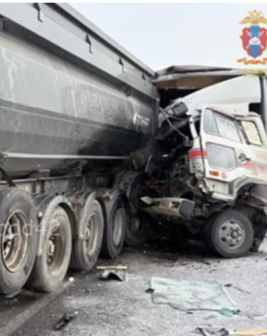 Фото, видео: <a href=https://t.me/gibdd42/15572>Госавтоинспекция Кузбасса</a> / Telegram