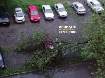Фото: Кемеровчане делятся в соцсетях фотографиями последствий штормового ветра 1