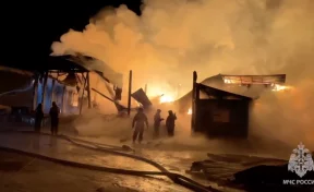 В Архангельске произошёл пожар на складе пиломатериалов на площади 1,8 тысячи квадратных метров